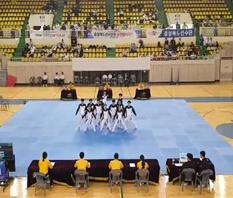 전국생활체육대축전 시범부문참가